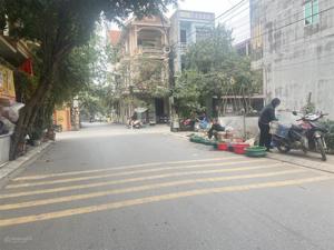 Đất kinh doanh trục chính làng lạc thổ kinh doanh đắc địa. chỉ nhỉnh 3 tỷ