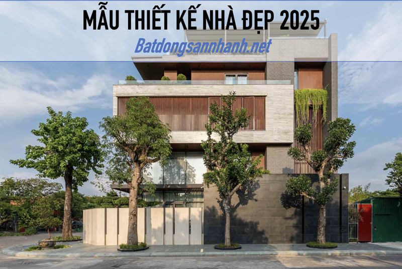 Ảnh tin tức