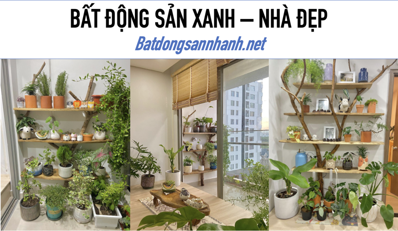 Ảnh tin tức