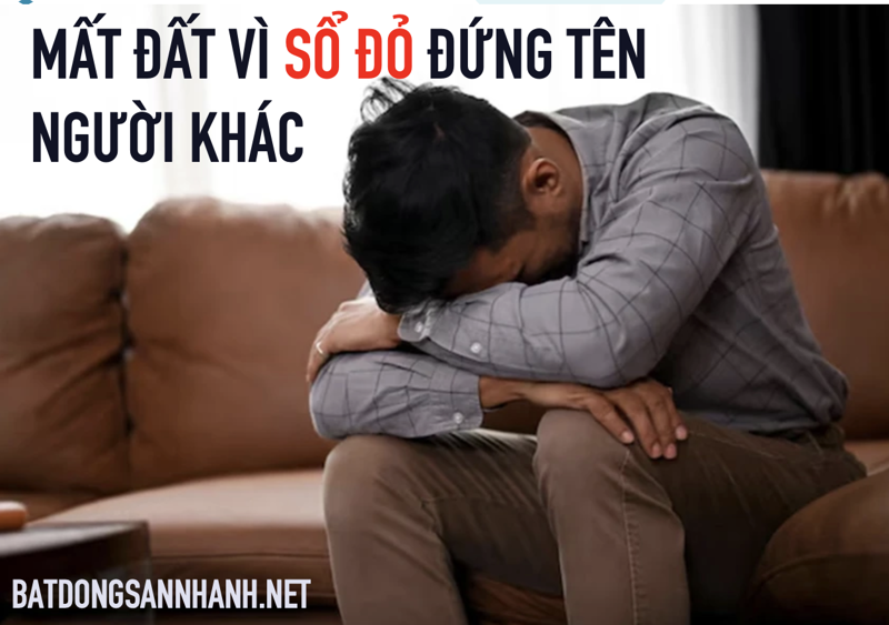 Ảnh tin tức