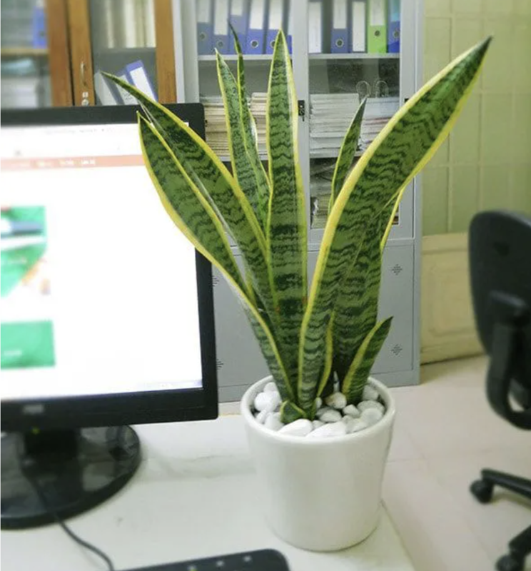Ảnh tin tức